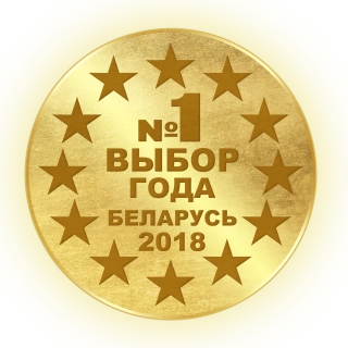 Золотая медаль Международного фестиваля-конкурса «ВЫБОР ГОДА» | Шайнэст